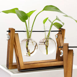 Bulb Terrarium Vase with Retro Wooden Stand