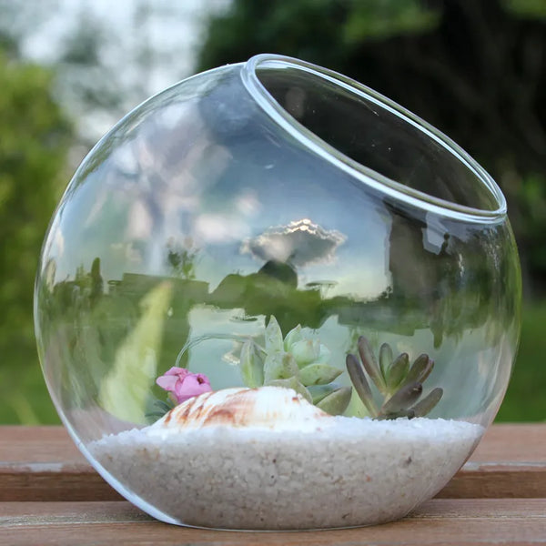 Glass Vase Hydroponic Fleshy Home Decoration