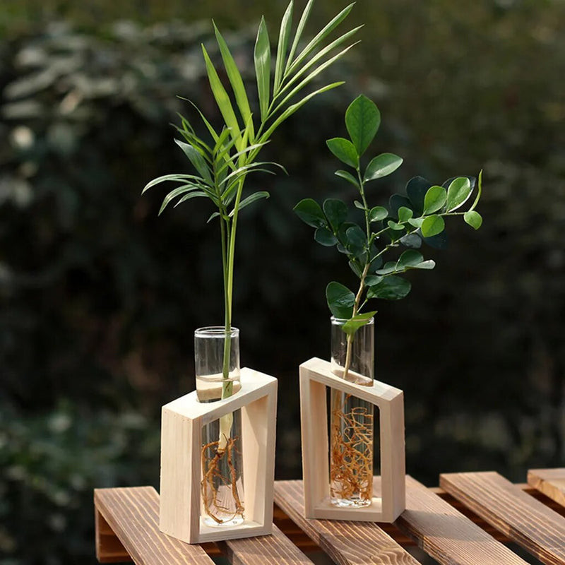 Bulb Terrarium Vase with Retro Wooden Stand